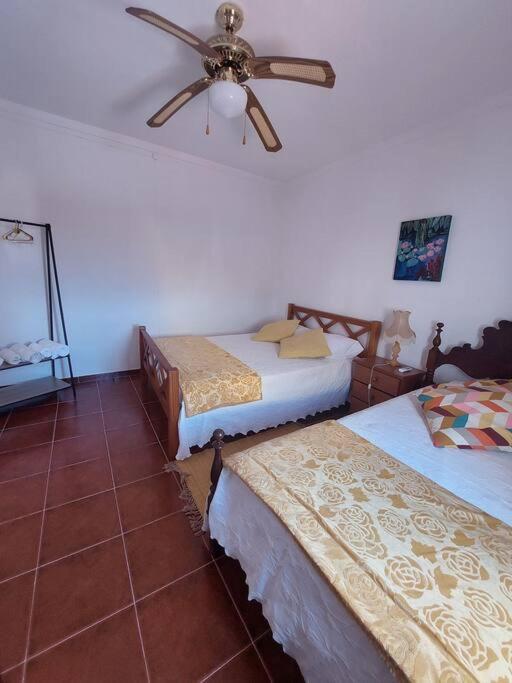 Casa Amarela - Praias Alqueva Povoa de Sao Miguel Экстерьер фото